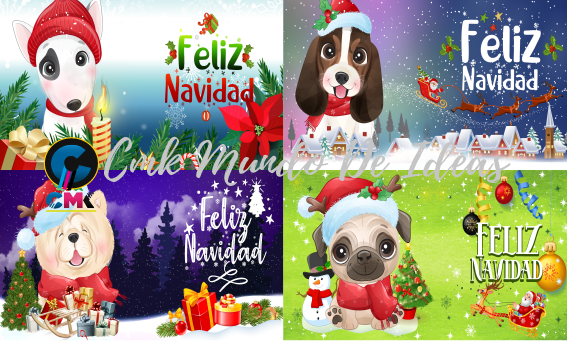 Read more about the article Navidad Pack taza 5